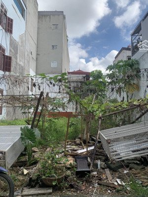 trâu quỳ - 50m - oto 7 chỗ, sát hvnn - để ở quá hiếm, xây ccmn dòng tiền 420tr/thg, tiềm năng lớn