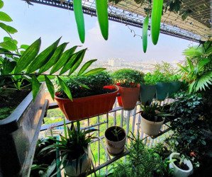 bán căn 2pn2wc view đẹp, full nội thất cao cấp, ngay trung tâm, tiện ích đủ đầy