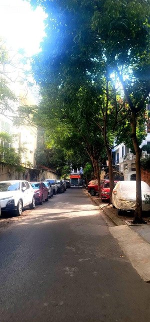 bán nr tại trần bình, mai dịch, cầu giấy, hà nội, 14,5 tỷ, 51m2