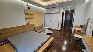 cho thuê căn hộ studio view pháo hoa siêu đẹp tại diamond crown giá cực hấp dẫn