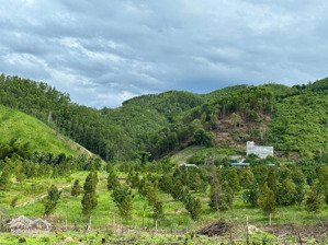 kẹt tiền cần bán lô đất vườn giáp suối 700m khánh nam cách thị trấn chỉ 1 cây cầu, giá còn 295tr