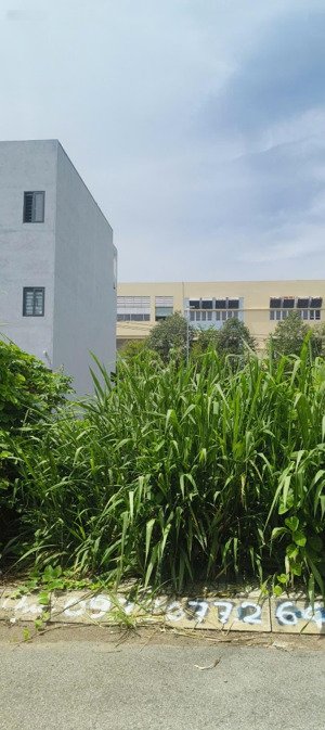 đất đường nhựa ô tô, 55m2, giá nhỉnh 3 tỷ sẵn sổ