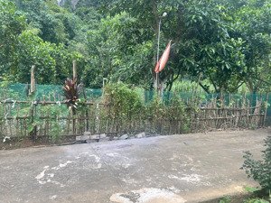 625m đất full thổ cư nghỉ dưỡng chuẩn resort đầu tư sinh lời vượt trội