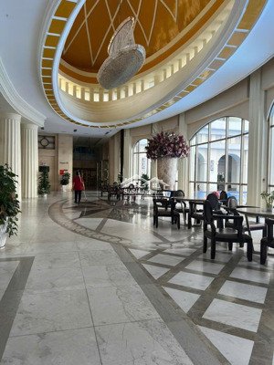 dt:120m2 chinh chủ cho thuê chcc flemington -q11. nội thất cao cấp nhà đẹp giá :25tr (giá thật )