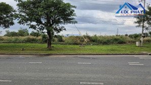 bán đất xây dựng xưởng 15.500m2 giá 46,3tỷ. kcn châu đức - bà rịa vũng tàu 