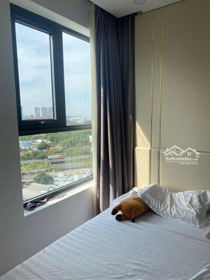 cho thuê ch 2pn, 2wc, 70m2 tại d’lusso, an phú, q2, hcm chỉ với 15,5 triệu vnd