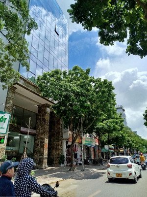 hạ sốc 3 tỷ. bán gấp mặt phố- lô góc vũ tông phan, 50m2x 4 tầng, mt4m chỉ 19 tỷ