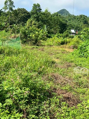 bán 1500m2 đất bám suối yên thủy hb, giá 1.x tỷ