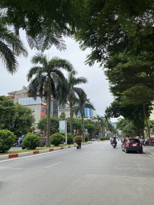 bán nhà 5 tầng phố nguyễn khuyến văn quán dt 70m, phân lô vỉa hè hai oto tránh đỗ thoải mái- 16ty45