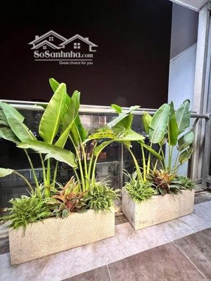 bán căn tòa t2b-tsq euro land (làng việt kiều châu âu mỗ lao, hà đông) 122m lh 