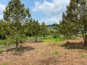 hot! bán gấp lô đất 2950m2 có 100m2 thổ cư, mặt tiền đẹp tại thanh bình đồng nai - giá chỉ 2.65tỷ