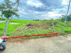 ms208. cần bán gấp giảm giá sốc chỉ 560 triệu tại diên khánh