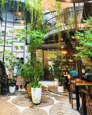 chỉ 14,5 tỷ - sập hầm 600m2 ngang 18m tặng 16 phòng căn hộ + khu vườn cực chill. dt 60 triệu/ tháng