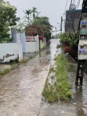 bán đất tại xã yên lộc, ý yên, nam định, 780 triệu, 197 m2 giá siêu hời