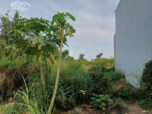 chính chủ cần bán lô đất diện tích 68m2 giá 420tr ở thành phố biên hoà