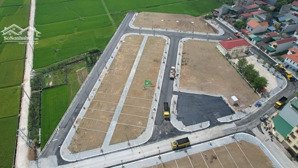 chính chủ cần bán đất đấu giá dục tú 1 .ngay sát đường cầu tứ liên