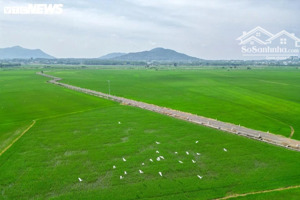 siêu phẩm homestay nghỉ dưỡng cực đẹp