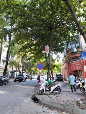 bán nhà phân lô 105m2 phố hàm nghi lô góc, mt 17m ô tô vào nhà sát công viên