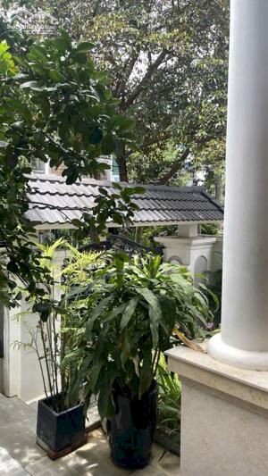 44 - Nguyễn Đỗ Mục - Biệt Thự 3 Tầng Gần Thăng Long - Khuê Trung - Cẩm Lệ - Đường 7m5 giá Bán 13,5 tỷ