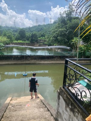 bán nhanh lô nhà vườn ~881m² có 80m² thổ cư + nhà c4 80m² đường bê tông ô tô tránh nhau