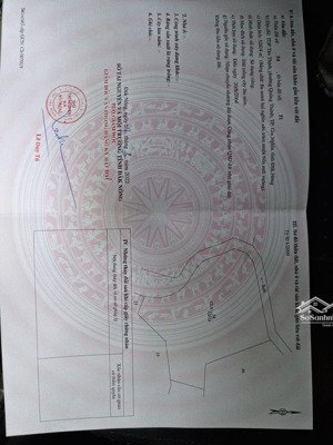 bán (trồng cln) siêu đẹp tại tp gia nghĩa - đắk nông (tỉnh lâm đồng bây giờ)