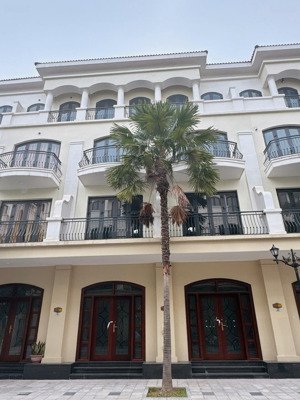 tôi chính chủ bán nhanh căn liền kề chà là 6 - vinhomes ocean park 2 | sẵn sổ đỏ, nhà hoàn thiện