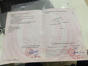 - lô đất cực đẹp tại phố tân thành - nhánh 2 đường bùi phổ
- diện tích 81.5m2 - không lỗi lầm. -