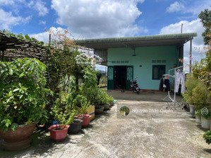 bán nhà vườn có sẵn cây ăn trái - sẵn thổ cư khu vực lộc châu, bảo lộc (phường 3 bảo lộc)