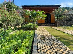 bán ngôi nhà hoa hồng - ngay đường phan đình phùng phường lộc tiến, bảo lộc