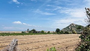 bán đất gần khu tái định cư hạt nhân 2