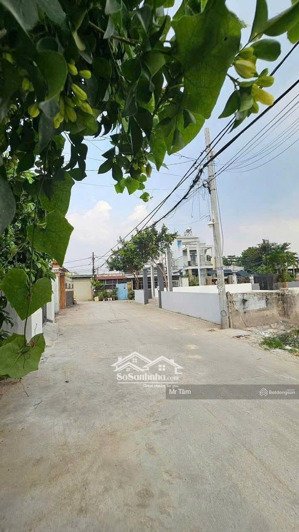 bán lô đất 2 mặt tiền, ôtô tới đất, diện tích 4,9m x 12,8m, tổng 60m2 , full thổ, xã hóc môn (mới)