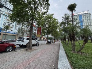 hiếm-nhà phân lô phố lâm hạ trung tâm bồ đề cận kề phố cổ 90m2(6x15m) rất giá trị