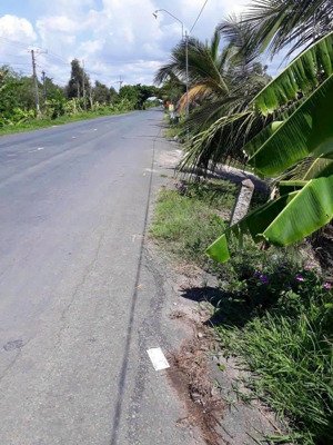 đất full thổ mt đường 829, huyện tân thạnh, long an. giá 2.7 tỷ