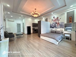 căn hộ studio cửa sổ lớn rộng 50m2 sàn ngay mặt tiền đường điện biên phủ quận 10