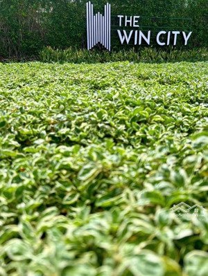 căn hộ cao cấp giá rẻ tại long an (cũ) gần các cụm kcn. phụ hợp với công nhân viên chức. dưới 1tỷ