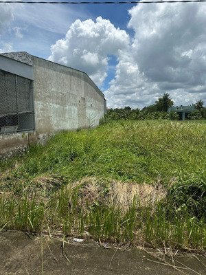 hàng hiếm tại phường 7, bến tre, 1,1 tỷ, 132m2 đất nền cực phẩm