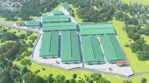 BÁN XƯỞNG CHO NHÀ ĐẦU TƯ TÂN UYÊN BÌNH DƯƠNG