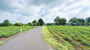 châu đức, siêu hot 2,2 tỷ sở hữu 2.073 m2 đất đẹp cạnh ngã 6 mới đá bạc, gần trung tâm và ql 56