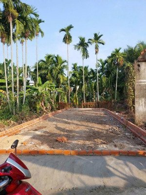 bán đất sổ hồng riêng giá rẻ tại phường thới an, quận 12 diện tích 5x14 mét