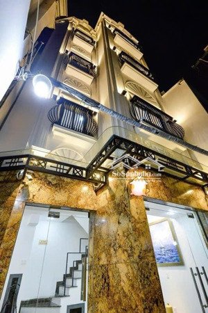 siêu phẩm biệt thự 4 tầng 5m, đề thám, quận 1 - chốt gấp 5,4 tỷ