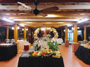 building phân lô, trần thái tông, ô tô, kinh doanh, xây tòa nhà, 160m2, mt 9m, 69 tỷ, 