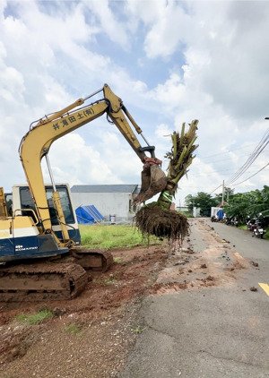 cực chill 478m2 thổ cư nhà vườn mái thái,bờ rào khu nhà vườn xã hưng thịnh,tỉnh đồng mai.