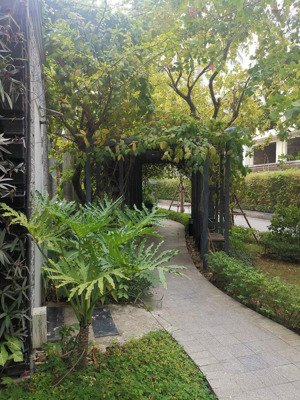 bán gấp căn hộ ecolife tây hồ 8,8 tỷ, 95m2, 2pn, 2wc,có thể sửa thành 3 ngủ dễ dàng, sẵn sổ đỏ