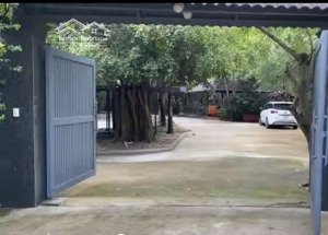 bán khu nhà vườn 3.377m2 - hẻm 79 đường long phước, tp. thủ đức.