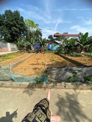 hàng hiếm tại phú cát, quốc oai, hà nội, 2,2 tỷ, 80,5m2