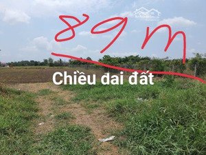 bán đất vườn chính chủ tại cần đước , long an