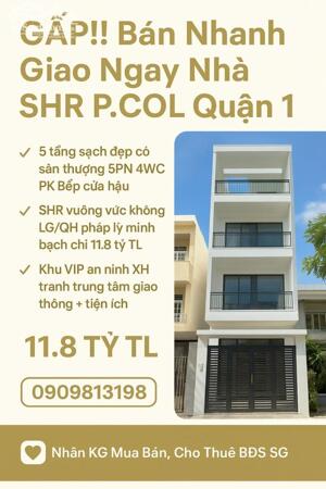 ️️️GẤP!! Bán Nhanh Giao Ngay Nhà SHR P.COL Quận 1.️️️