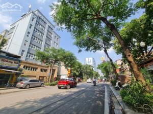 CHÚ RUỘT CẦN BÁN GẤP NHÀ PHỐ NGUYỄN THÁI HỌC VĂN MIẾU BA ĐÌNH 53M 3 TẦNG NHỈNH 16 TỶ OTO 10M