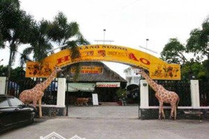 chính chủ bán đất 1240m, nở hậu, có nhà gỗ gần ql22, bv xuyên á giá tốt