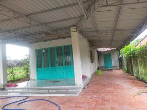 ngộp nặng nhà cấp 4 đang cho thuê 10x31 thổ cư shr 600tr hai mặt tiền cẩm giang gò dầu